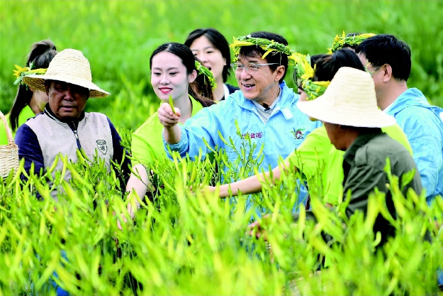 成龍代言助大同黃花獲億元訂單