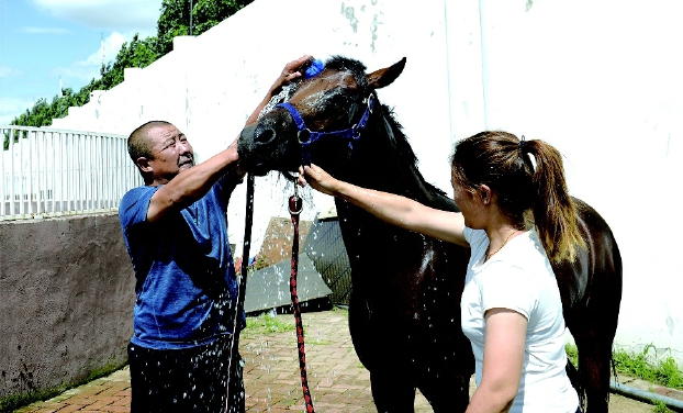 內(nèi)蒙古科右中旗借馬之力助脫貧