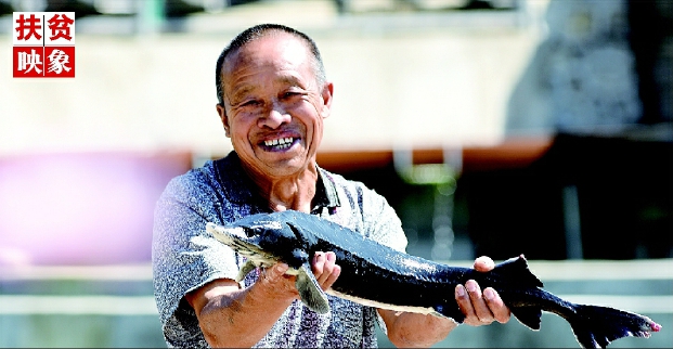 河北宣化深山引泉水養(yǎng)出“脫貧魚”