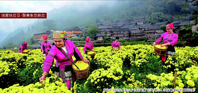 生態(tài)扶貧模式在全國落地見效