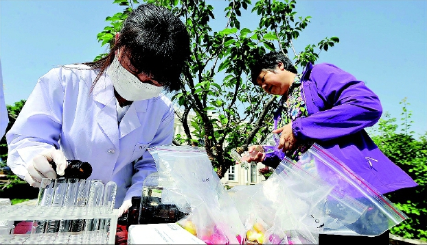 筑牢食品安全防線維護人民健康