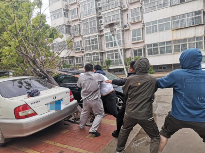 【陽光快訊】大雨過后，那些最可愛的背影，為我們排憂解困——陽光財險滄州中支理賠服務(wù)部查勘人員雨天救援被砸車輛764.png