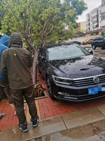 【陽光快訊】大雨過后，那些最可愛的背影，為我們排憂解困——陽光財險滄州中支理賠服務(wù)部查勘人員雨天救援被砸車輛270.png